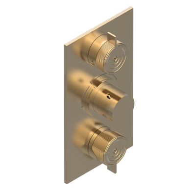 Накладка с ручкой регулировки THG Zoom.7 температуры и двумя маховиками для термостатического смесителя 5400AE