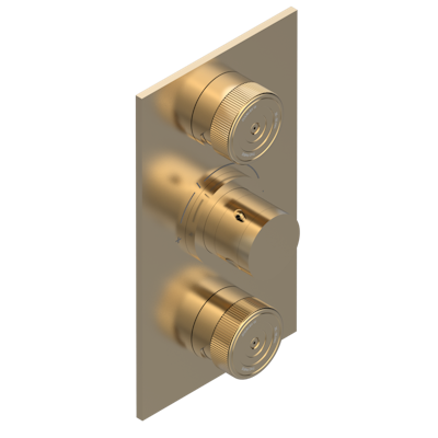 Термостат THG Zoom.5 внешняя часть с ручкой регулировки температуры и двумя маховиками для термостатического смесителя 5400AE