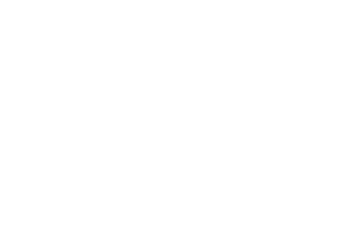 Salini