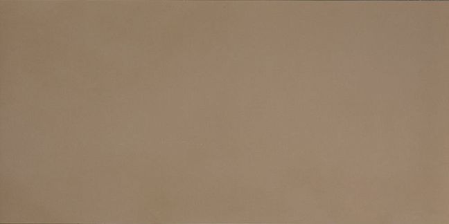 Керамогранит Casalgrande Padana R-Evolution Terra *36SC* 60x120
