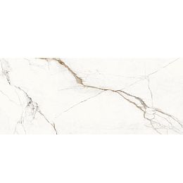 Provenza Керамогранит Unique Marble Paonazzetto 60x120 Silktech купить в Москве: интернет-магазин StudioArdo