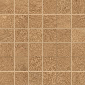 Provenza Керамогранитный декор W-Circles Mosaico 50 X 50 Oak 30x30 матовый