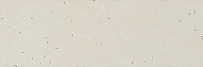 Керамогранит Mutina Primavera Bianco Matt 40x120