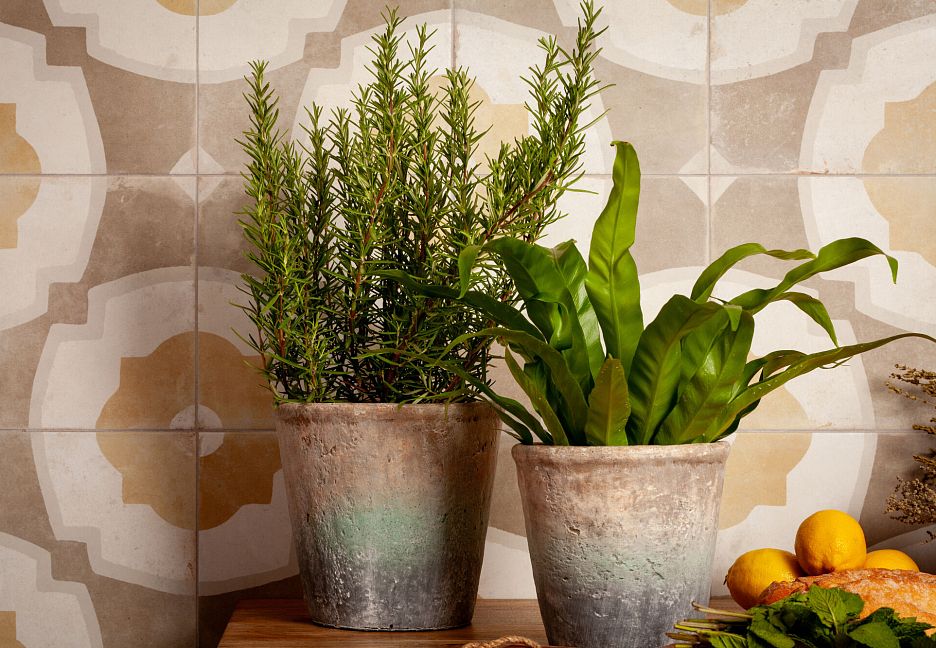 Керамическая плитка Peronda FS Farfalla