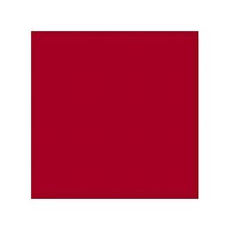 Керамическая плитка Vives Monocolor Rojo Volcan Matt 20x20 купить в Москве: интернет-магазин StudioArdo
