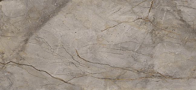 Керамогранит Apavisa Wild Forest Grey Pol Mix 119,3x260