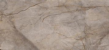 Apavisa Керамогранит Wild Forest S-6 Grey Mix 119,3x260x0,6 Pol