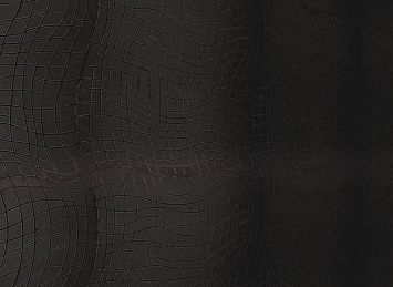 Микромозаика Sergio Savino Volo 28x29,7 Nero Africa