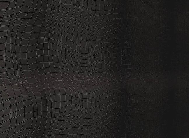 Микромозаика Sergio Savino Volo 28x29,7 Nero Africa