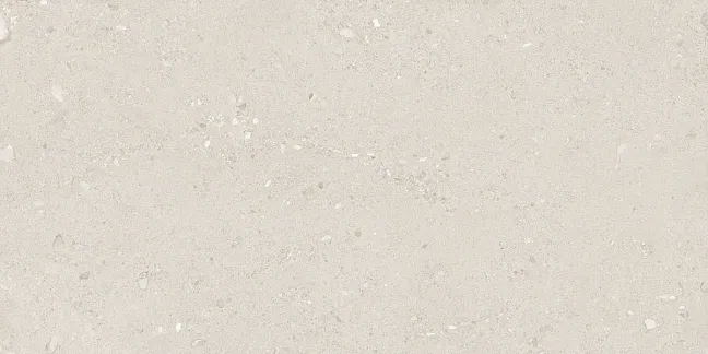Ergon Керамогранит GemmaStone Gemma Fine Greige 60x120x2 Natt R11 Rett