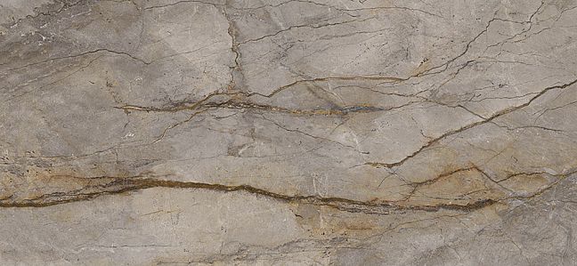 Керамогранит Apavisa Wild Forest Grey Pol BL-C 119,3x260