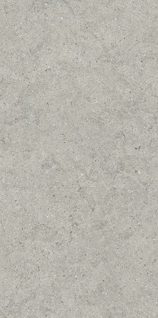 Italon Керамогранит Forum Stone Silver 60x120x0,9 Матовый Ret
