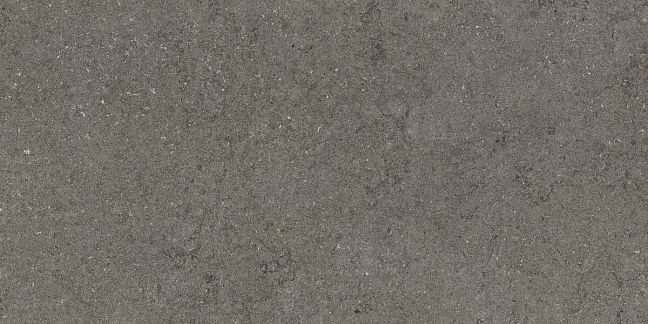 Italon Керамогранит Discover Fume 60x120x1 Nat Rett