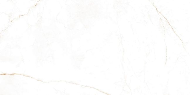 Museum Керамогранит Dual White Nt/60x120x0,9/C/R Natural /R10/