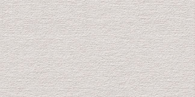 Refin Керамогранит Reliefs Hammered White R 60x120