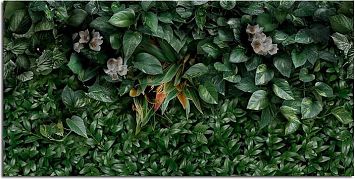 Керамогранит Panaria Glam Greenwall D 50X100