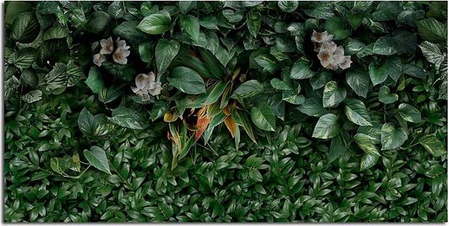 Керамогранит Panaria Glam Greenwall D 50X100