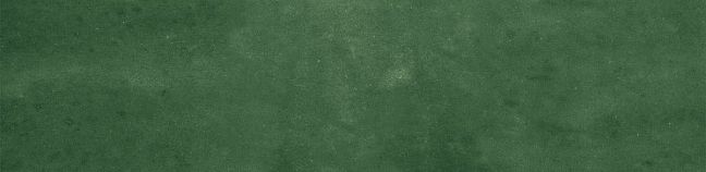 Harmony Керамическая плитка Samira Green 6x24,6