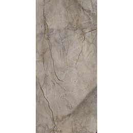 Керамогранит Apavisa Wild Forest Grey Nat Mix 119,3x260 купить в Москве: интернет-магазин StudioArdo