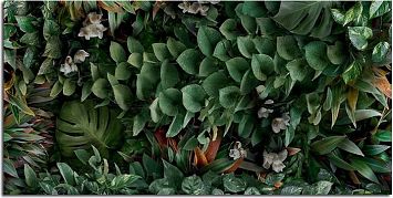 Керамогранит Panaria Glam Greenwall C 50X100