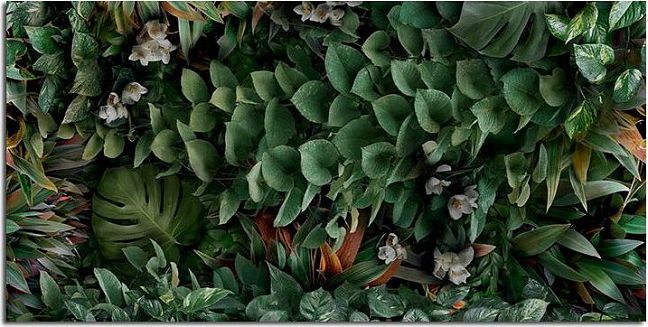 Керамогранит Panaria Glam Greenwall C 50X100