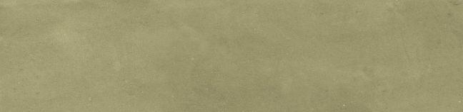 Harmony Керамическая плитка Samira Sage 6x24,6