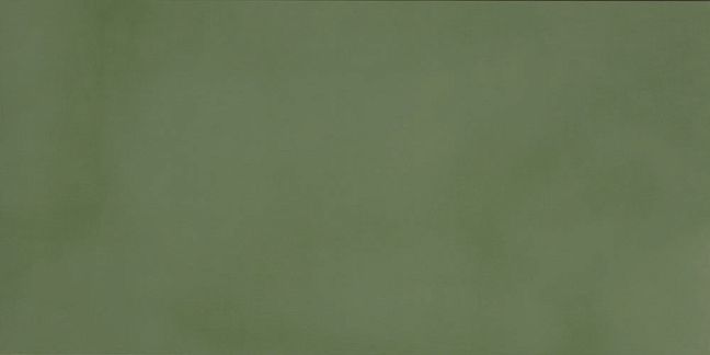 Керамогранит Casalgrande Padana R-Evolution Green *36SC* 60x120