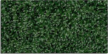 Керамогранит Panaria Glam Greenwall E 50X100