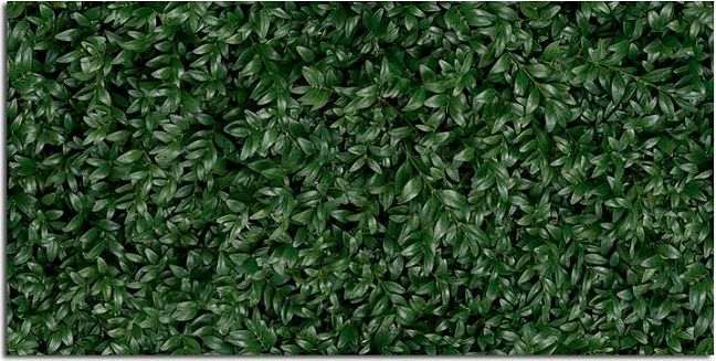 Керамогранит Panaria Glam Greenwall E 50X100