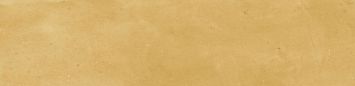 Harmony Керамическая плитка Samira Gold 6x24,6