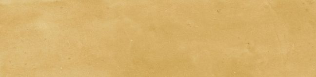 Harmony Керамическая плитка Samira Gold 6x24,6