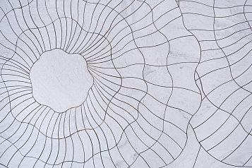 Модульное панно ART NATURA Медузы