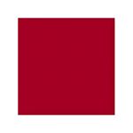 Керамическая плитка Vives Monocolor Rojo Volcan Matt 20x20 купить в Москве: интернет-магазин StudioArdo