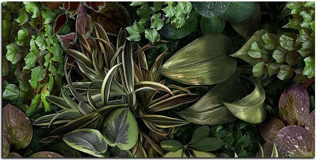 Керамогранит 41ZERO42 Paper41 Jane B 50x100
