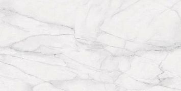 Керамогранит Provenza Bianco D'Italia Calacatta Lappato Lucido 59x118,2x1