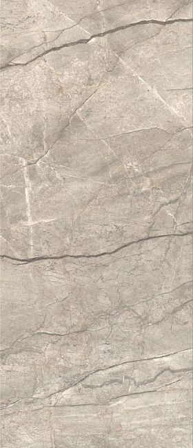 Caesar Керамогранит Anima Futura Amazing Silver 120x278x0,6 SG SILK Rt
