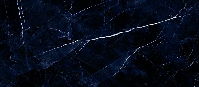 Керамогранит Emil Ceramica Tele Di Marmo Revolution Calacatta Black Lappato 60x120