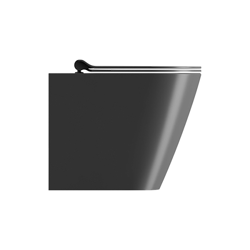 Унитаз Kube X безободковый с водоворотной системой смыва Swirlflush фаянсовый черный матовый (941026) купить в Москве: интернет-магазин StudioArdo