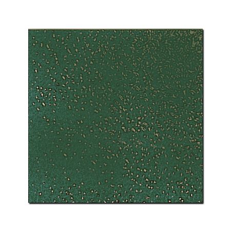 Керамическая плитка Petrachers Grand Elegance Pavimento Verde Bosco 20x20